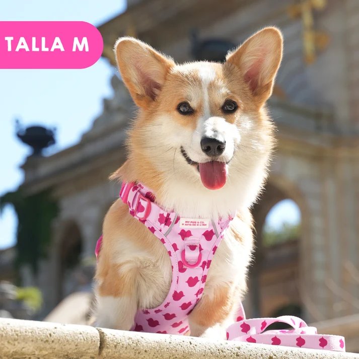 トレイルハーネス キス - アガタ・ルイス・デ・ラ・プラダ（ALL-TERRAIN HARNESS KISS - Agatha Ruiz de la Prada）の画像