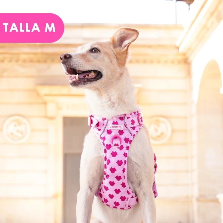 トレイルハーネス キス - アガタ・ルイス・デ・ラ・プラダ（ALL-TERRAIN HARNESS KISS - Agatha Ruiz de la Prada）の画像