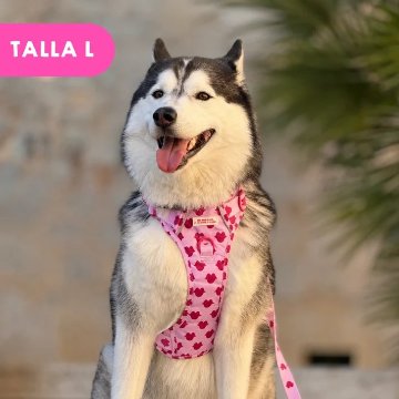 トレイルハーネス キス - アガタ・ルイス・デ・ラ・プラダ（ALL-TERRAIN HARNESS KISS - Agatha Ruiz de la Prada）の画像