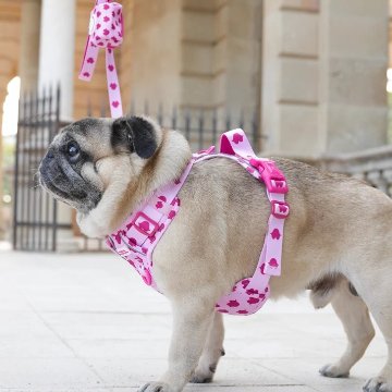 トレイルハーネス キス - アガタ・ルイス・デ・ラ・プラダ（ALL-TERRAIN HARNESS KISS - Agatha Ruiz de la Prada）の画像