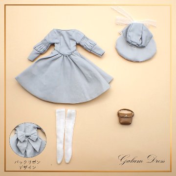 Galumドレスコレクション-19　フレアースカートワンピースドレスセット(22cmサイズ) の画像
