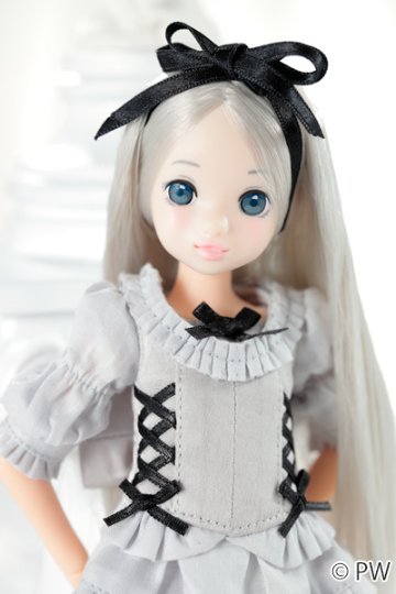 ruruko『朝霧のruruko』PetWORKsの画像
