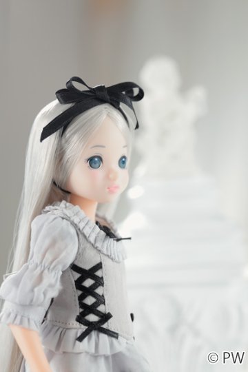 ruruko『朝霧のruruko』PetWORKsの画像