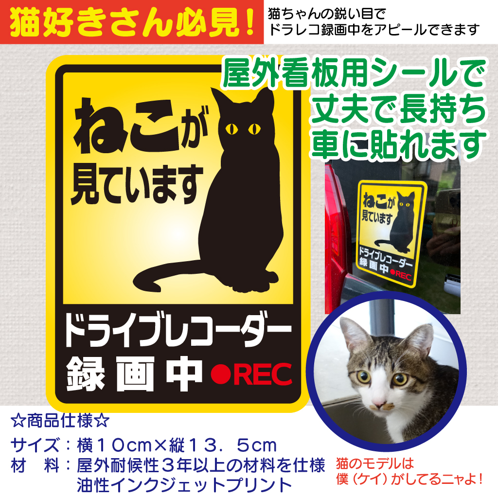ねこが見ています！ドライブレコーダー録画中｜置き看板ドットコム