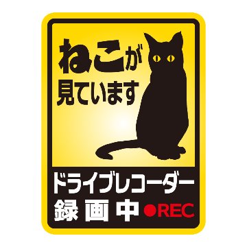 ねこが見ています！ドライブレコーダー録画中の画像