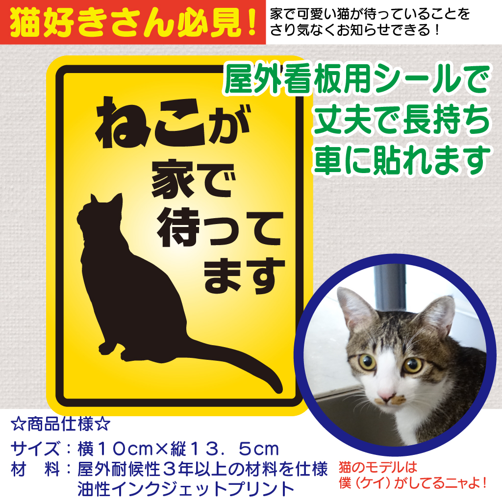 ねこが家で待ってますの画像