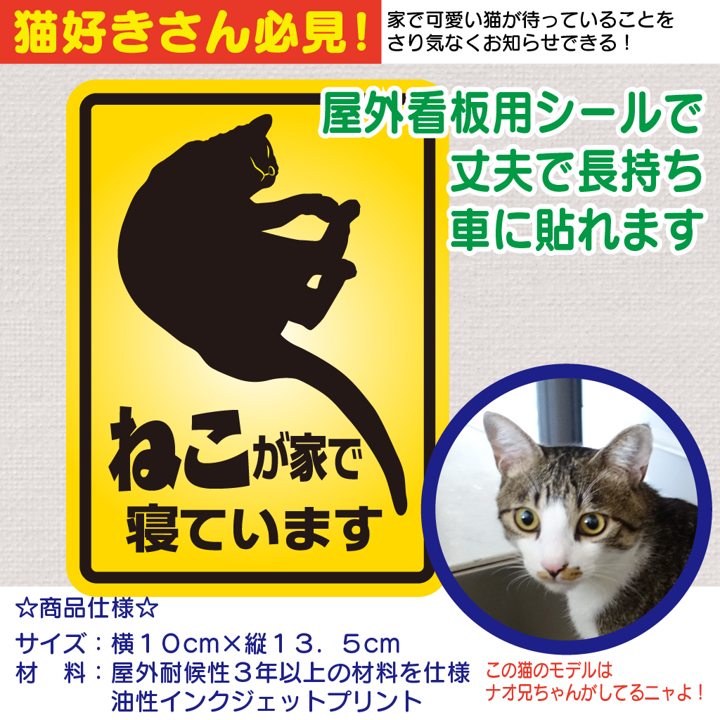 ねこが家で寝ていますの画像