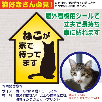 ねこが家で待ってます（家型）の画像