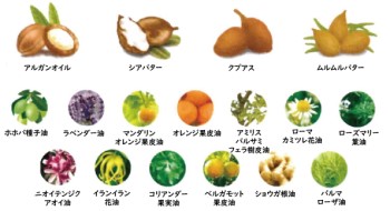17種類の植物油脂