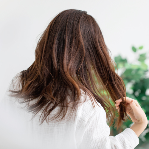 【新メニュー】今こそ！第3のクセ毛市場へ「トリートメントプレックスヌーヴォー」の画像