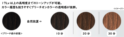 エフェクトブリーチ