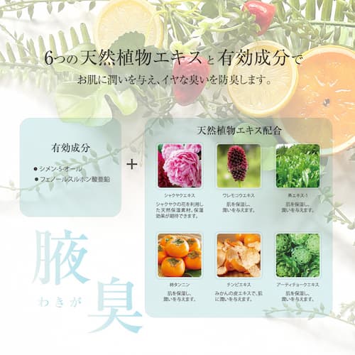 シークレットプラス・デオドラントスプレー 50ml　「ワンプッシュ」で制汗&防臭　【期間限定】 医薬部外品　の画像