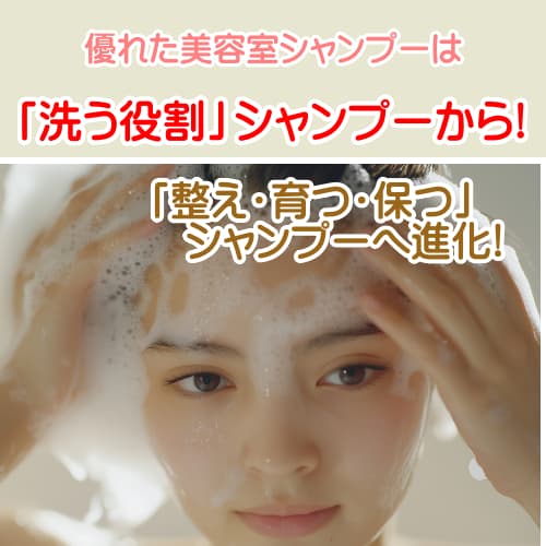 進化系シャンプー