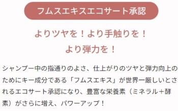 フムスエキスエコサート承認