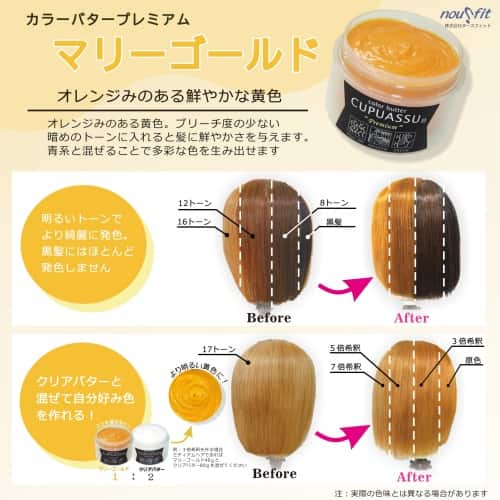 ヌースフィット 「カラーバタープレミアム」 カラー一覧表 【注目