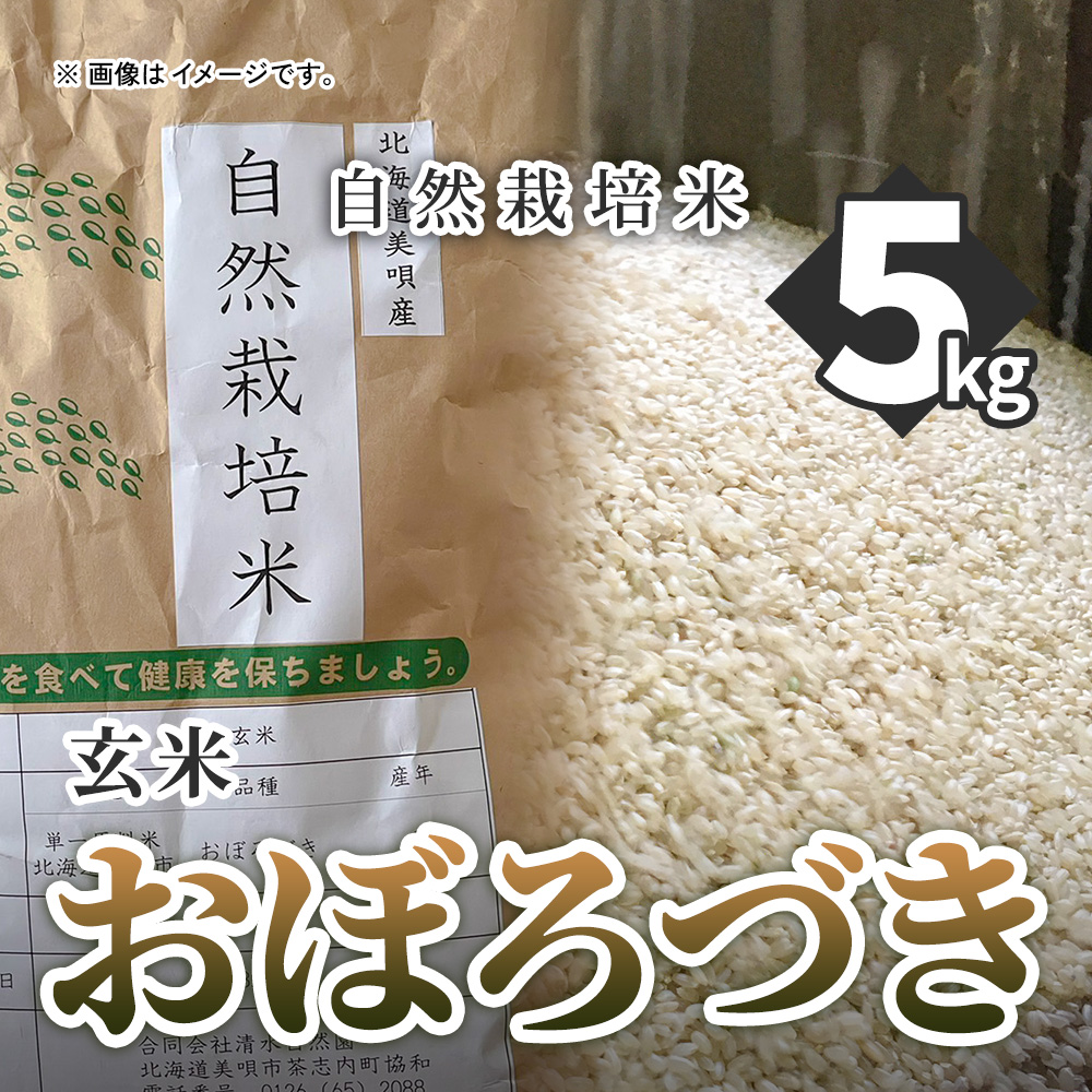玄米　自然栽培おぼろづき5kgの画像