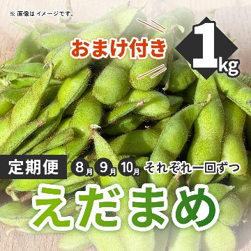 旬の野菜定期便　８・９・１０月に、枝豆をそれぞれ一回ずつお届け(おまけ付き)の画像