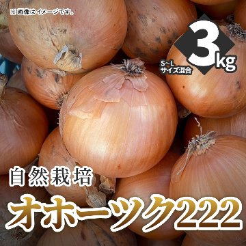 自然栽培の玉ねぎ　オホーツク222　3㎏　S～Lサイズ混合　9月より順次発送の画像