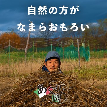 発芽大豆味噌 650gの画像