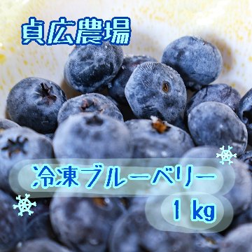 冷凍ブルーベリー 500g×2パック(1kg)の画像