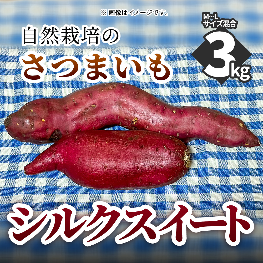 自然栽培のさつまいも　シルクスイート　3kg　M～Lサイズ混合　11月より順次発送の画像