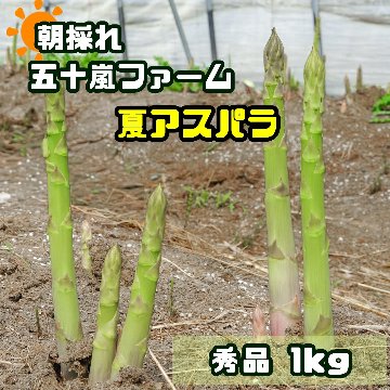 五十嵐ファームの夏アスパラ　秀品1kgの画像