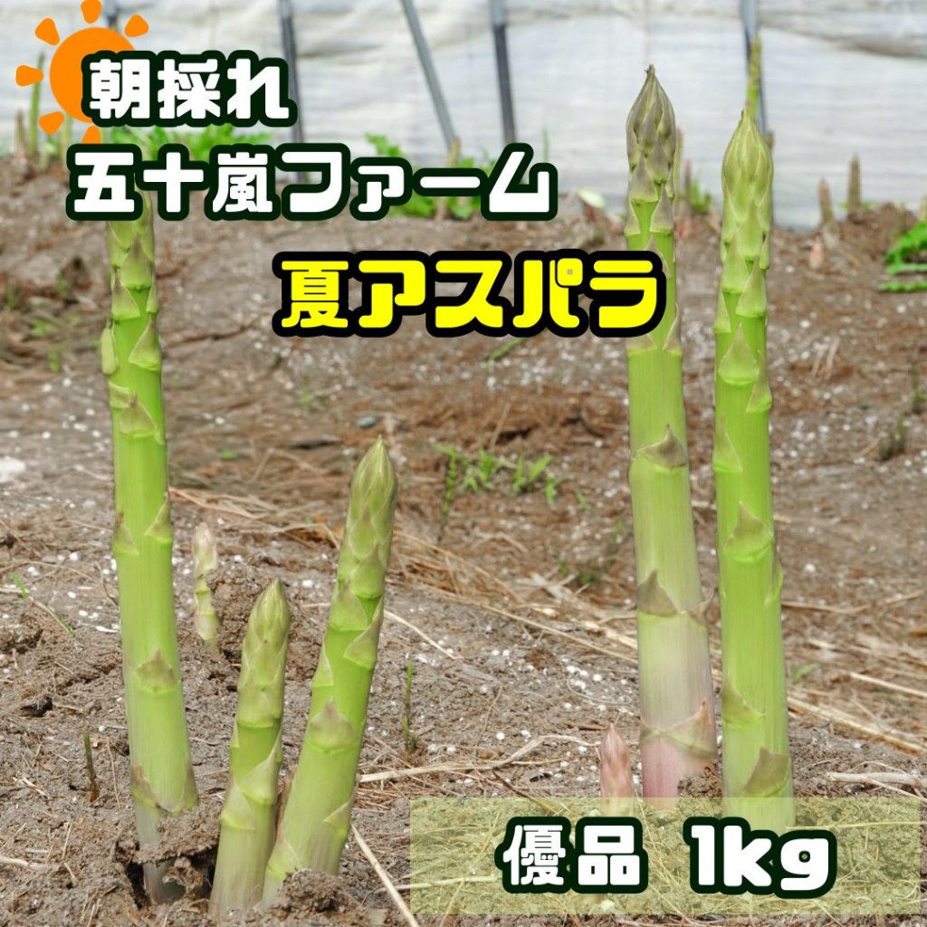 五十嵐ファームの夏アスパラ　優品1kgの画像