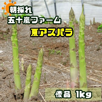 五十嵐ファームの夏アスパラ　優品1kgの画像