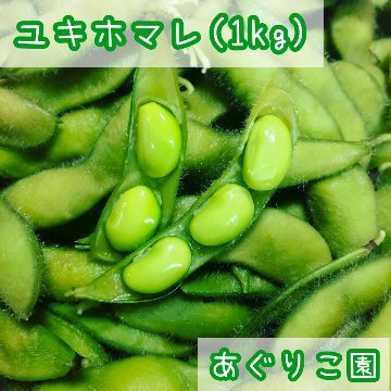 ユキホマレ（枝豆） 1kgの画像