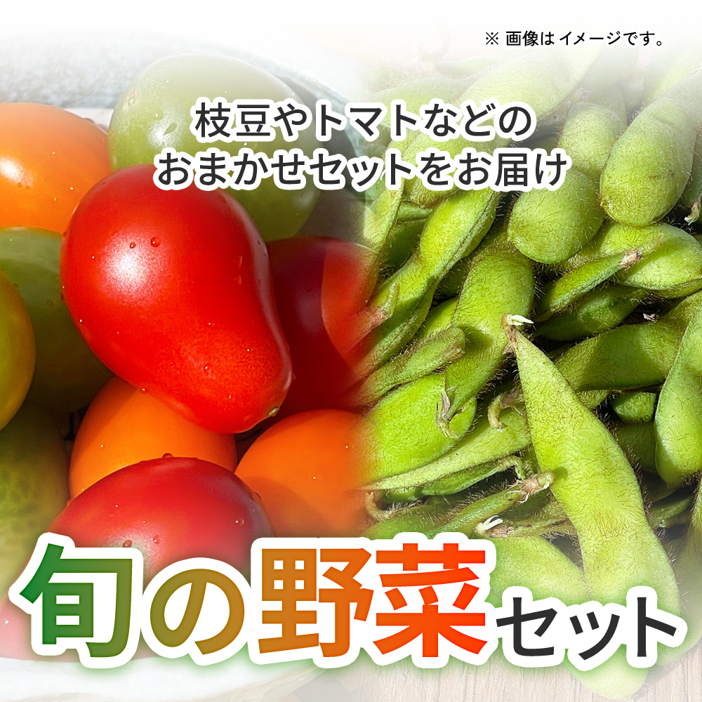 旬の野菜セット　枝豆やトマトなどのおまかせセットをお届けの画像