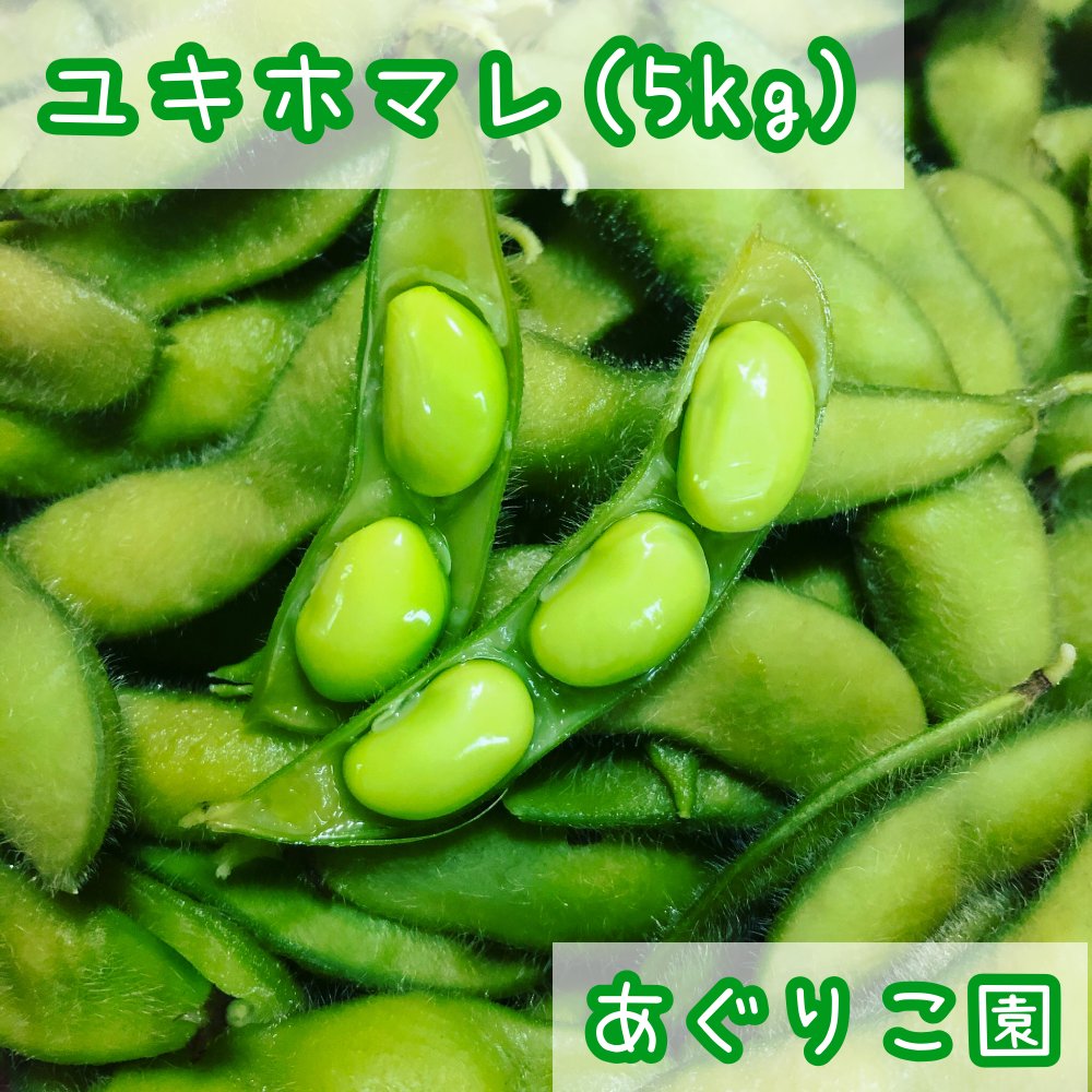 ユキホマレ（枝豆） 5kgの画像