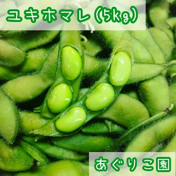 ユキホマレ（枝豆） 5kgの画像