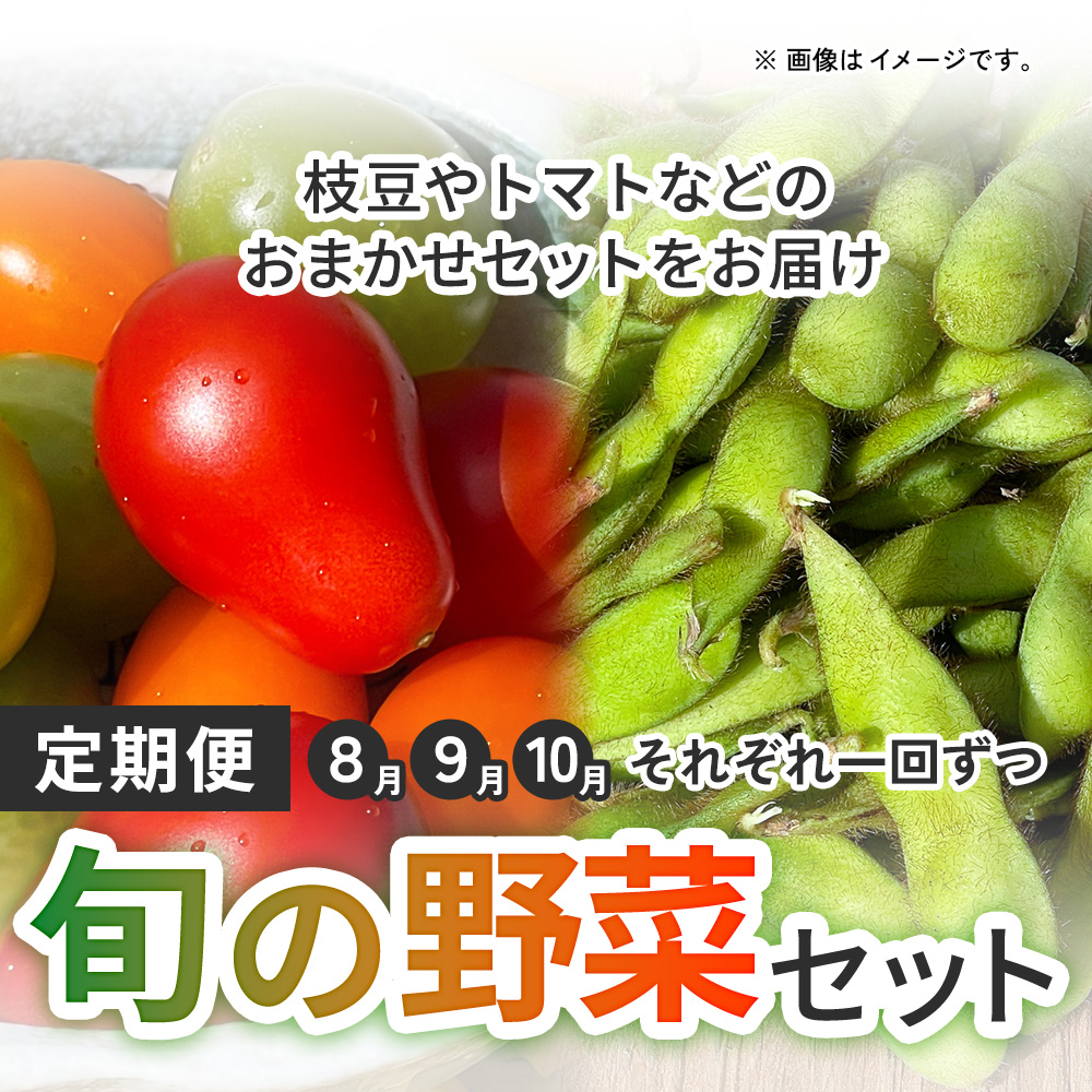 旬の野菜セット　８・９・１０月に、それぞれ一回ずつ枝豆やトマトなどのおまかせセットをお届けの画像