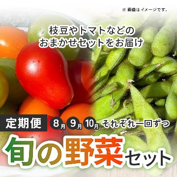 旬の野菜セット　８・９・１０月に、それぞれ一回ずつ枝豆やトマトなどのおまかせセットをお届けの画像