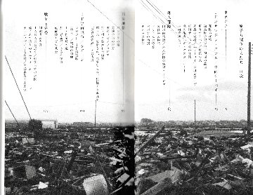 原子力戦争の犬たち 福島第一原発戦記　釣崎清隆画像