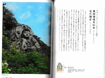 　夢見る巨大仏　東日本の大仏たち　　著：半田カメラの画像