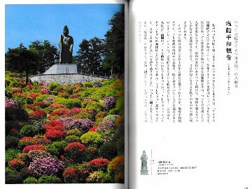 　夢見る巨大仏　東日本の大仏たち　　著：半田カメラ画像