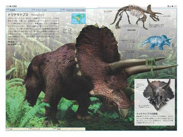 恐竜博物図鑑画像
