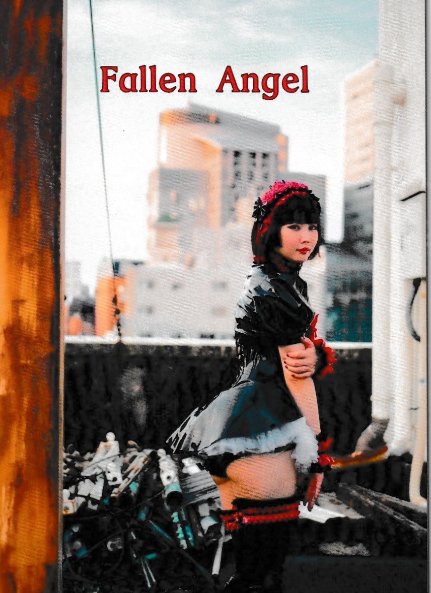 Fallen Angel　【あかねこ】画像