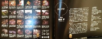 Shin-Spo 　心霊スポット写真集[廃墟編]　栗原亨監修　シンスポ画像