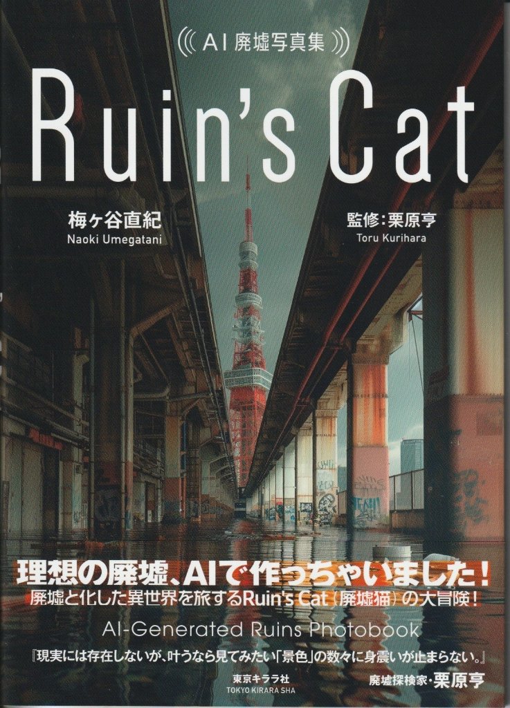 AI廃墟写真集　Ruin's Catの画像