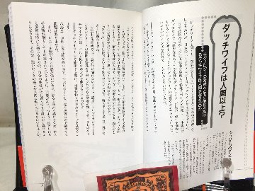 アダルトグッズ完全使用マニュアルの画像