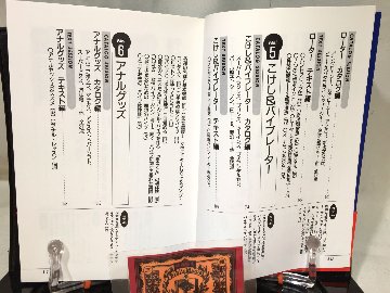 アダルトグッズ完全使用マニュアルの画像
