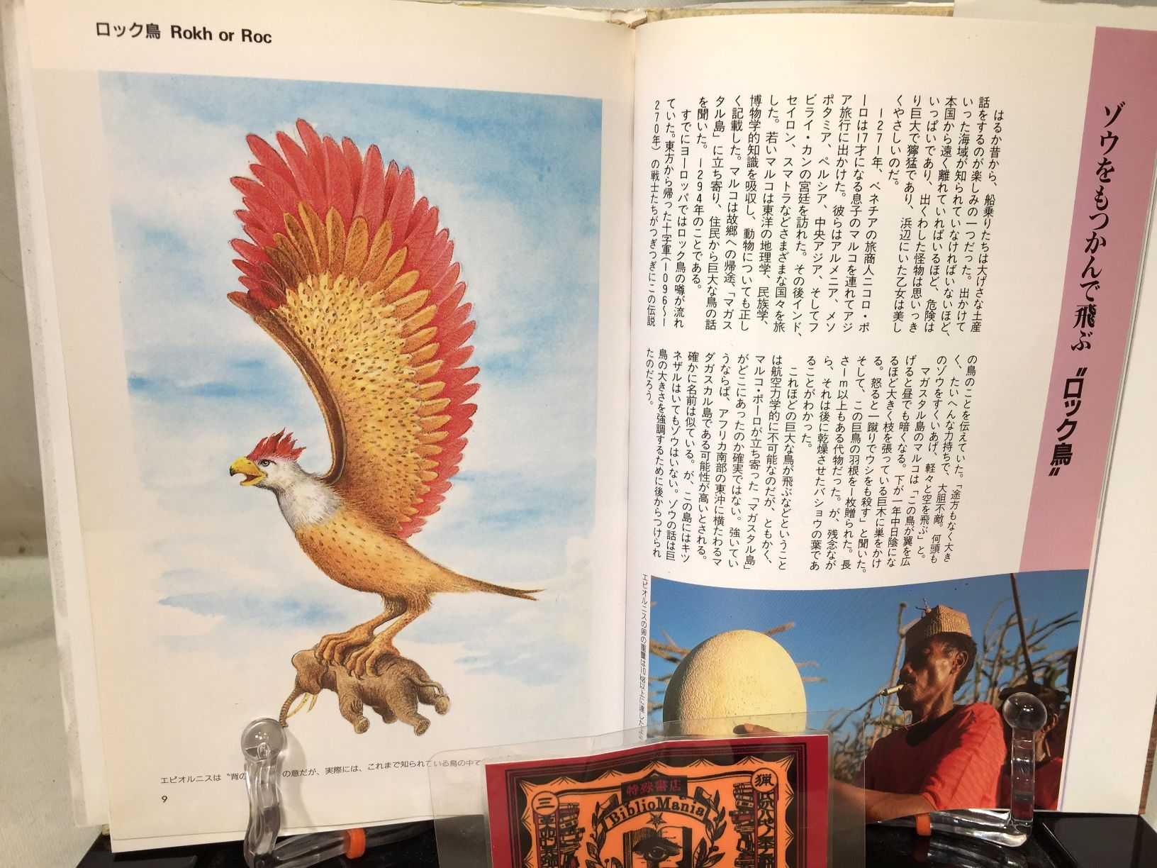 謎の動物の百科の画像