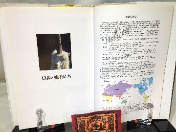 謎の動物の百科の画像