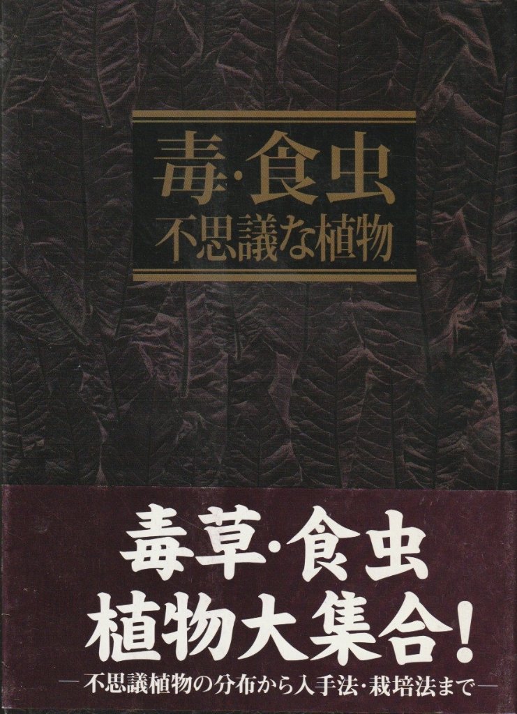 毒・食虫・不思議な植物の画像