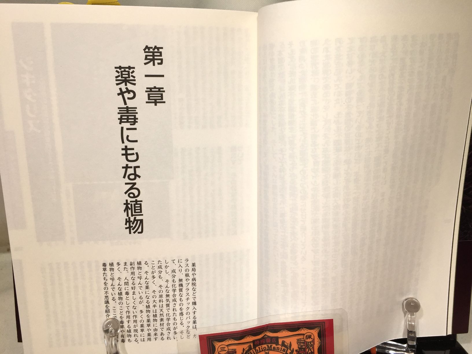 毒・食虫・不思議な植物の画像