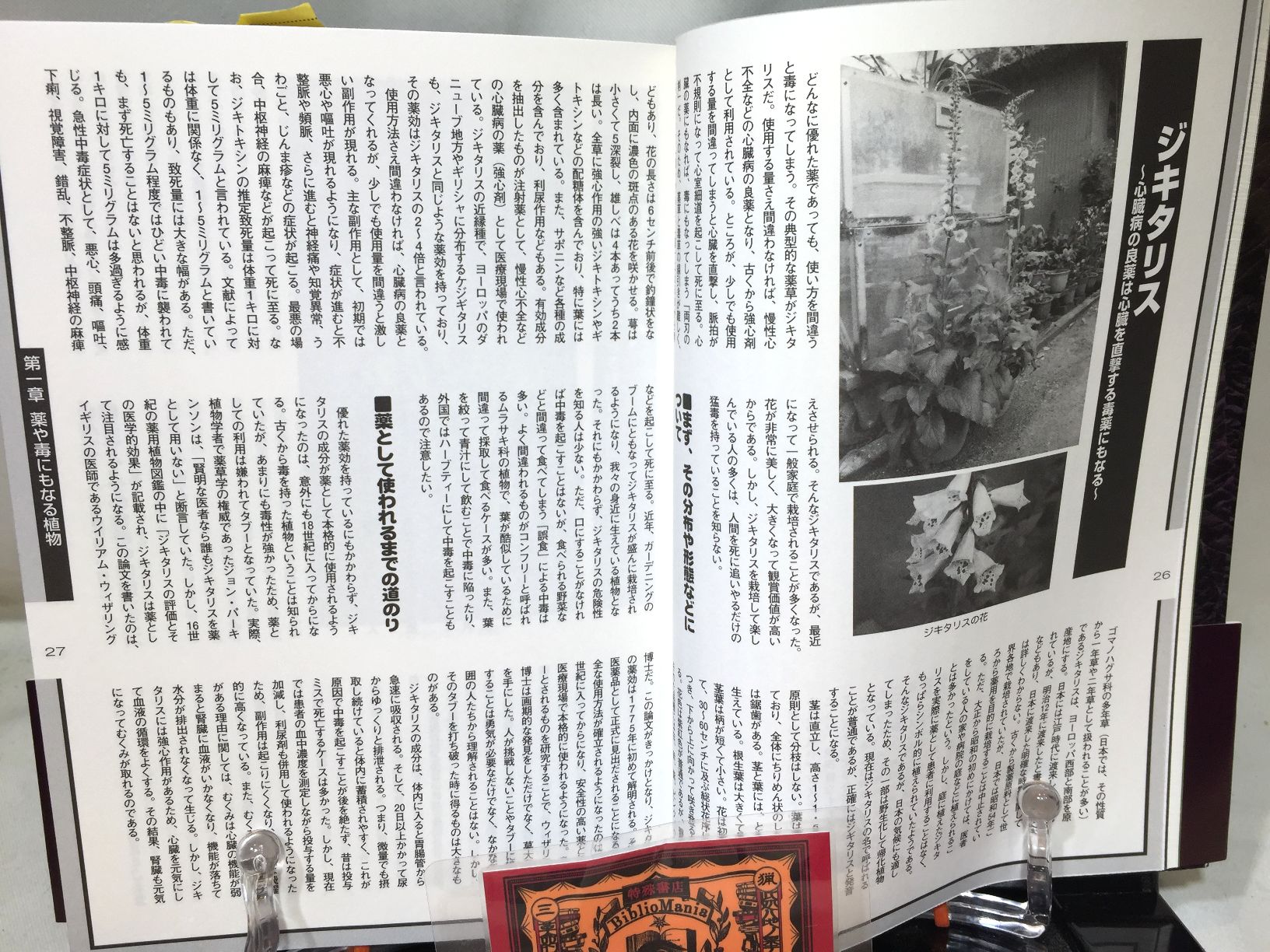 毒・食虫・不思議な植物の画像