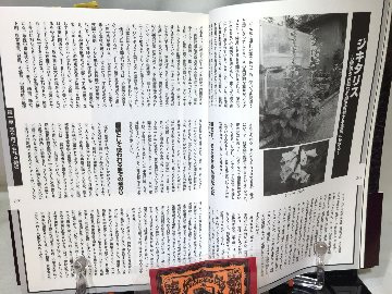 毒・食虫・不思議な植物の画像