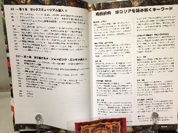 珍コリア 反日反共反独裁施設・テーマパーク・秘宝館・超C級グルメの画像